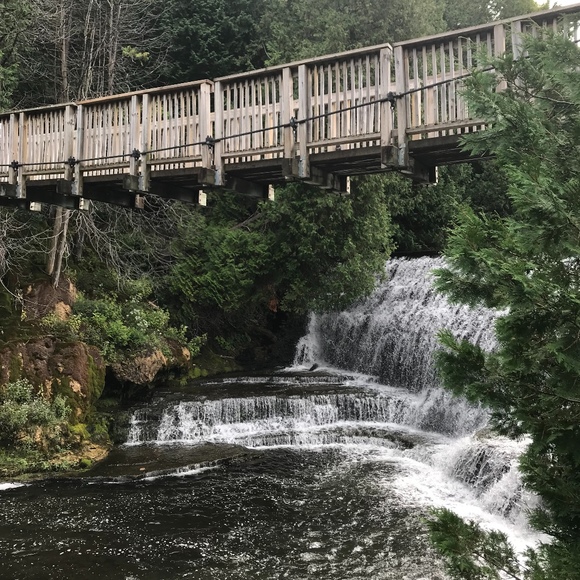 Meet your Posher, El - Picture 1 of 1